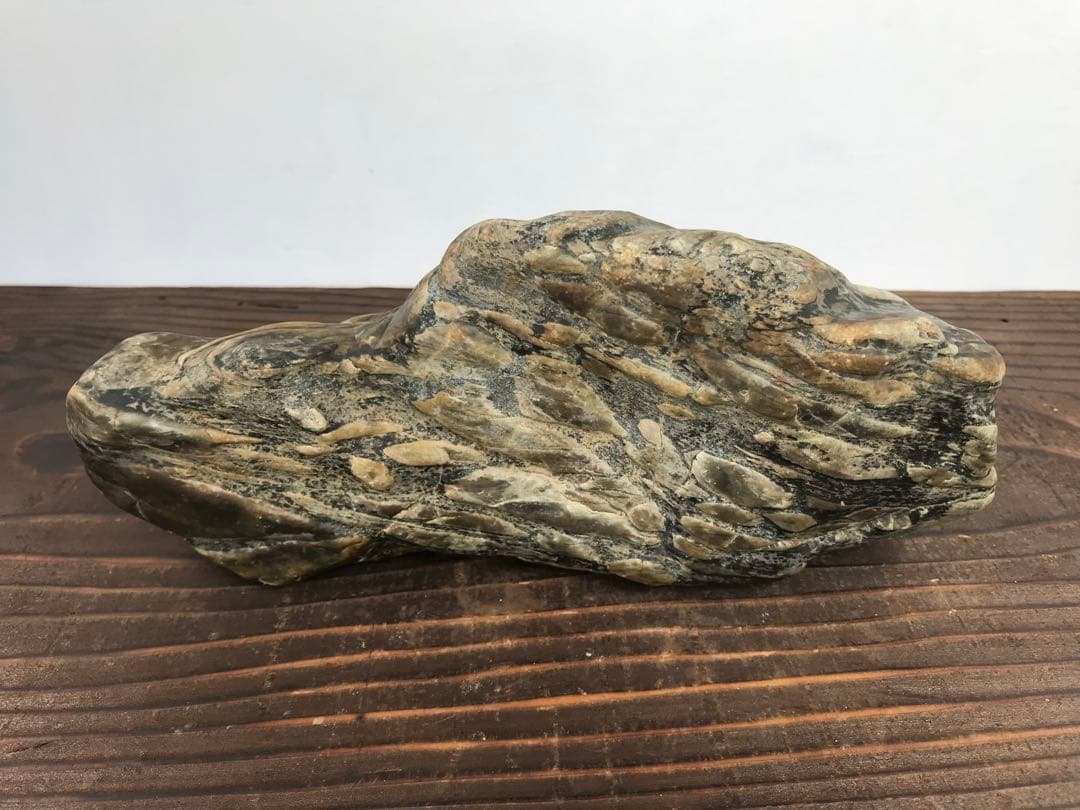 【水石】瀬田川『虎石』乱虎石