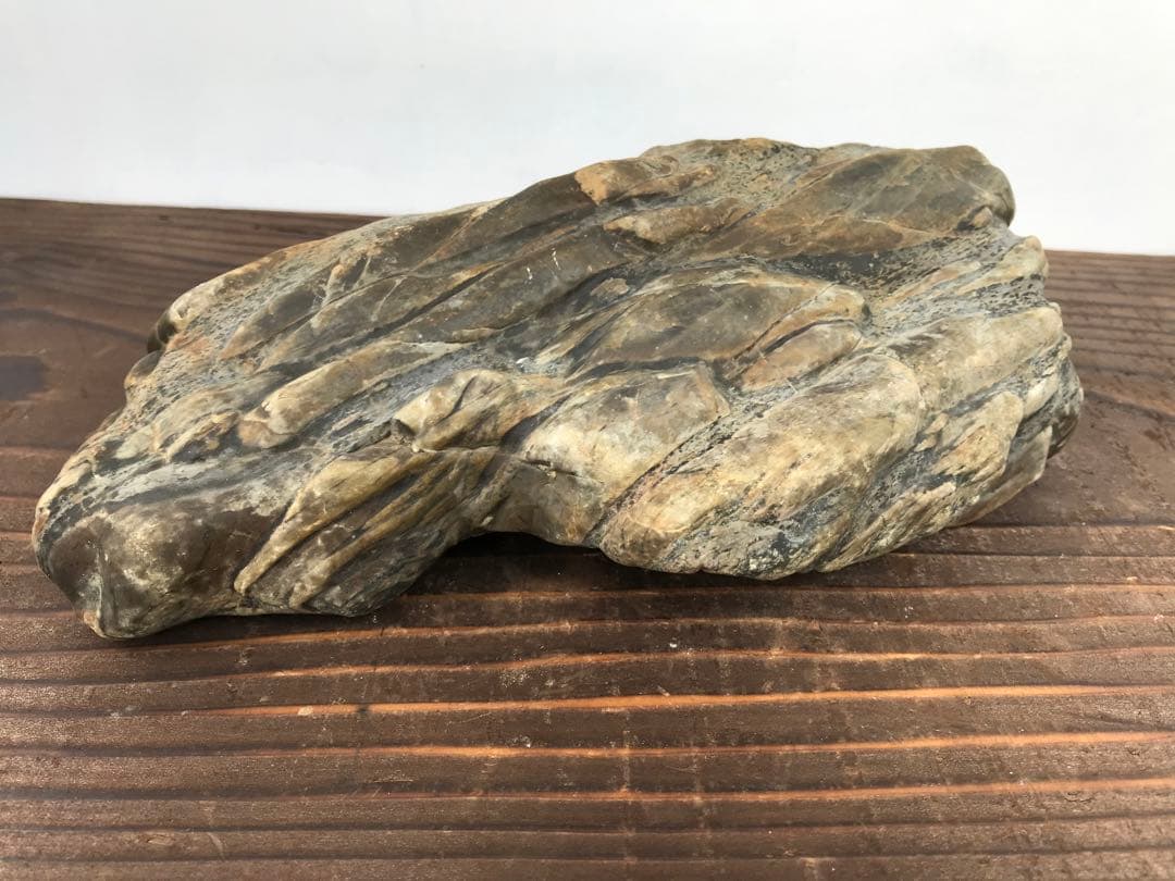 【水石】瀬田川『虎石』乱虎石