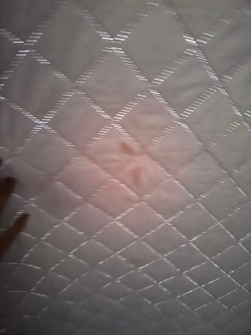 【MORZH（モルジュ ）テントサウナ】本店輸入購入品　公式ストーブつき