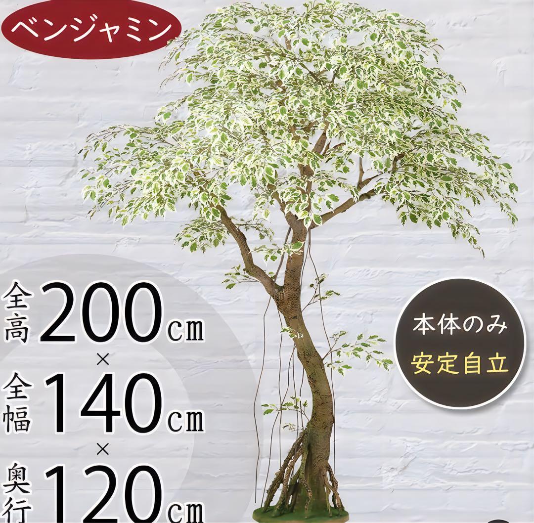 光触媒　人工観葉植物　フェイクグリーン　ベンジャミナスターライトコアッド