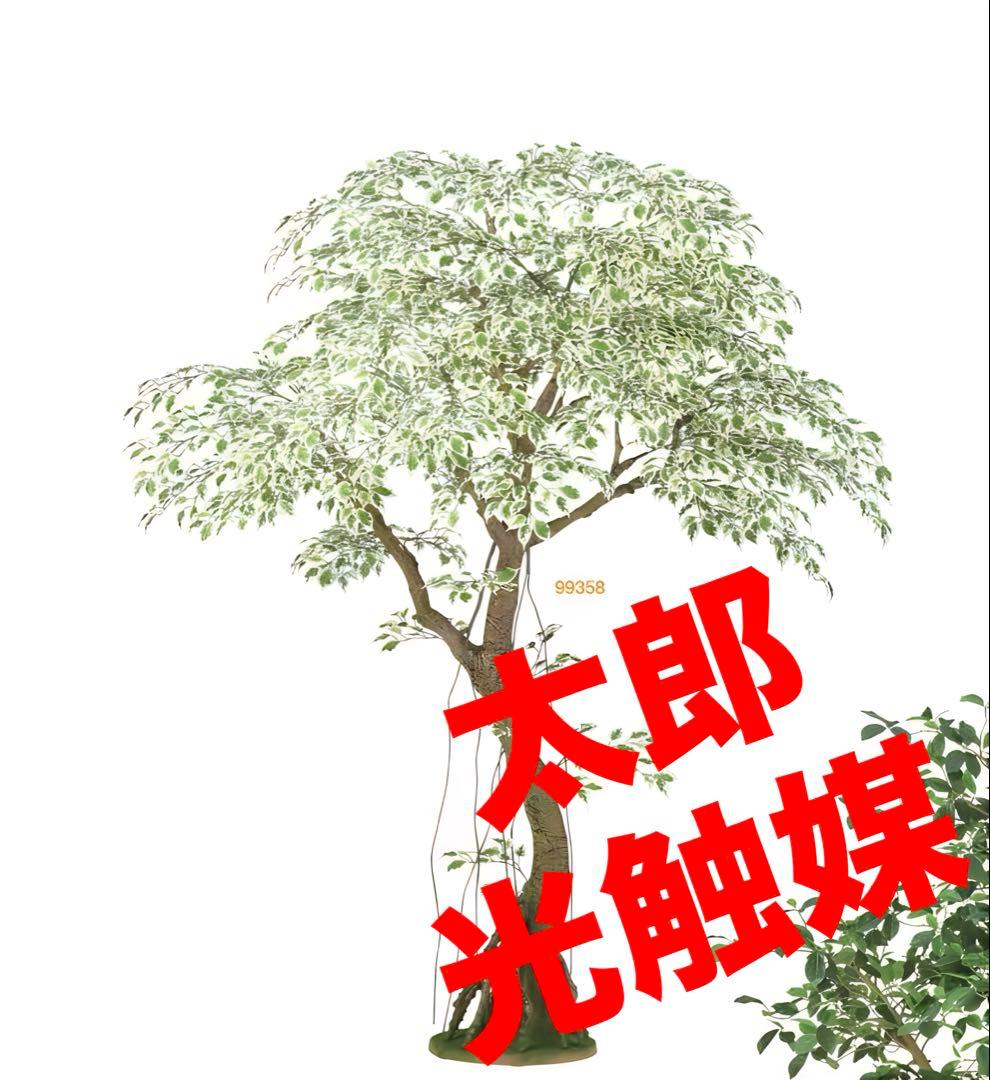 光触媒　人工観葉植物　フェイクグリーン　ベンジャミナスターライトコアッド