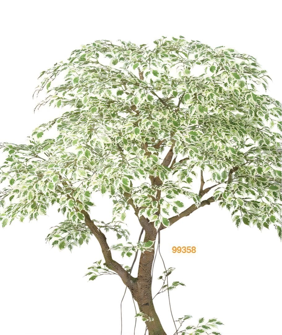 光触媒　人工観葉植物　フェイクグリーン　ベンジャミナスターライトコアッド