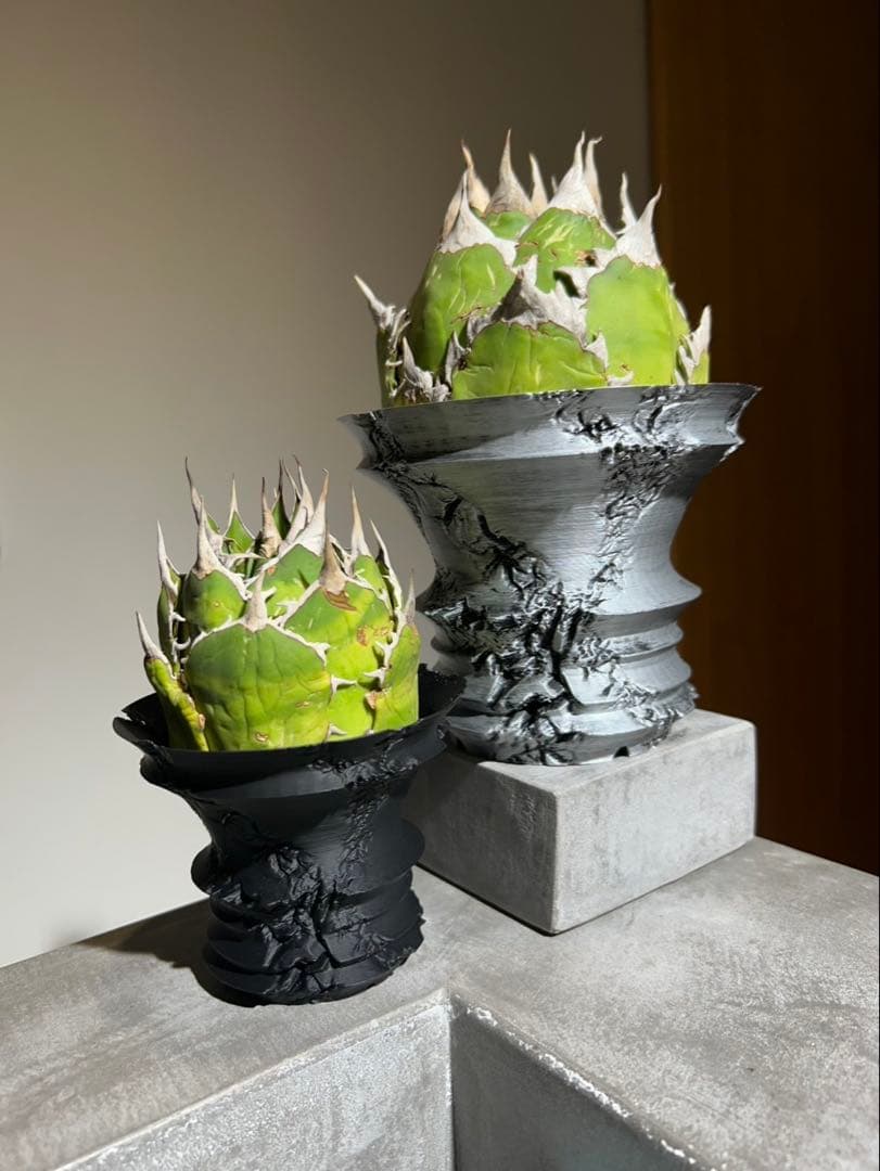 金額に応じて子株プレゼント！様　オーダー