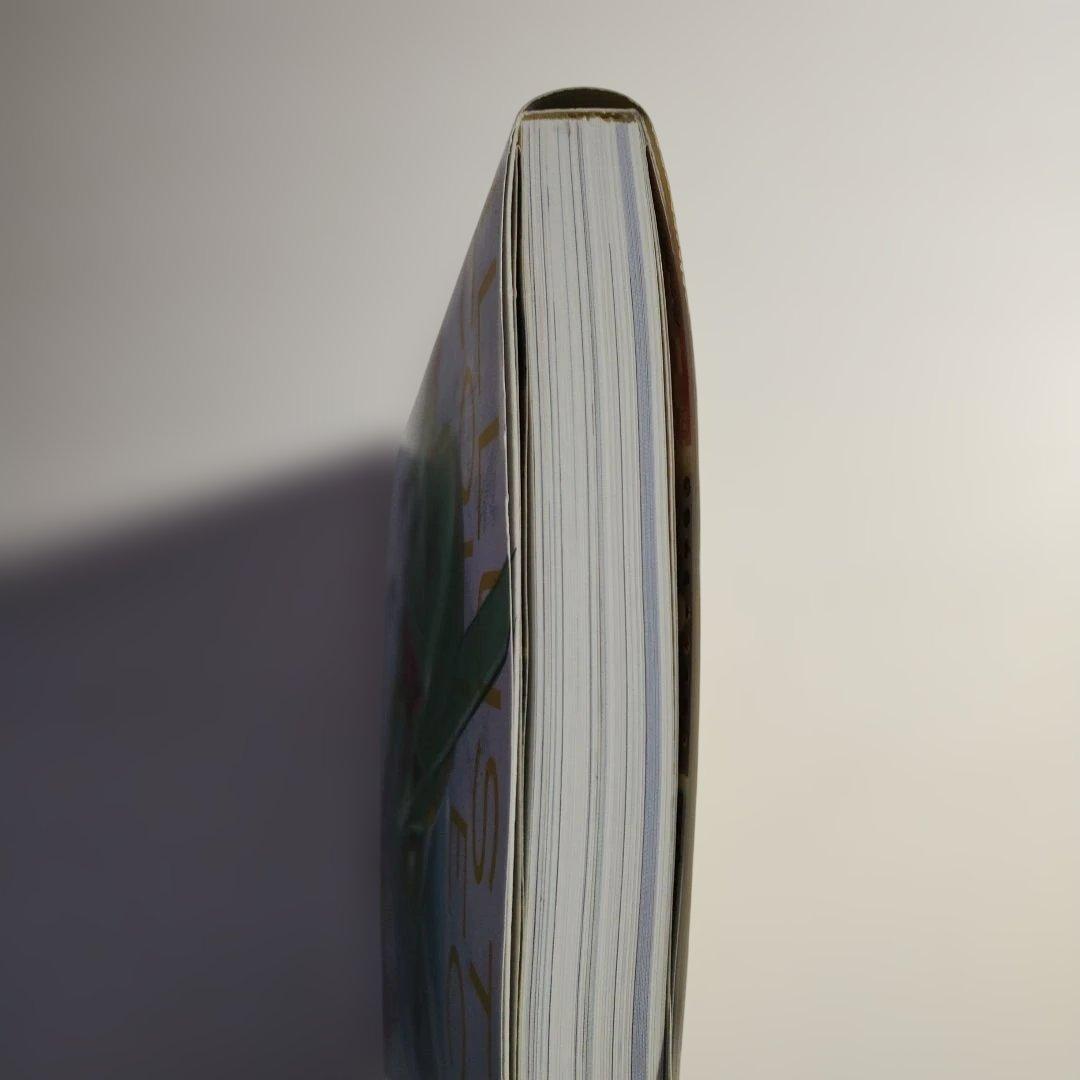 305 ポケモンカードゲーム イラストコレクション