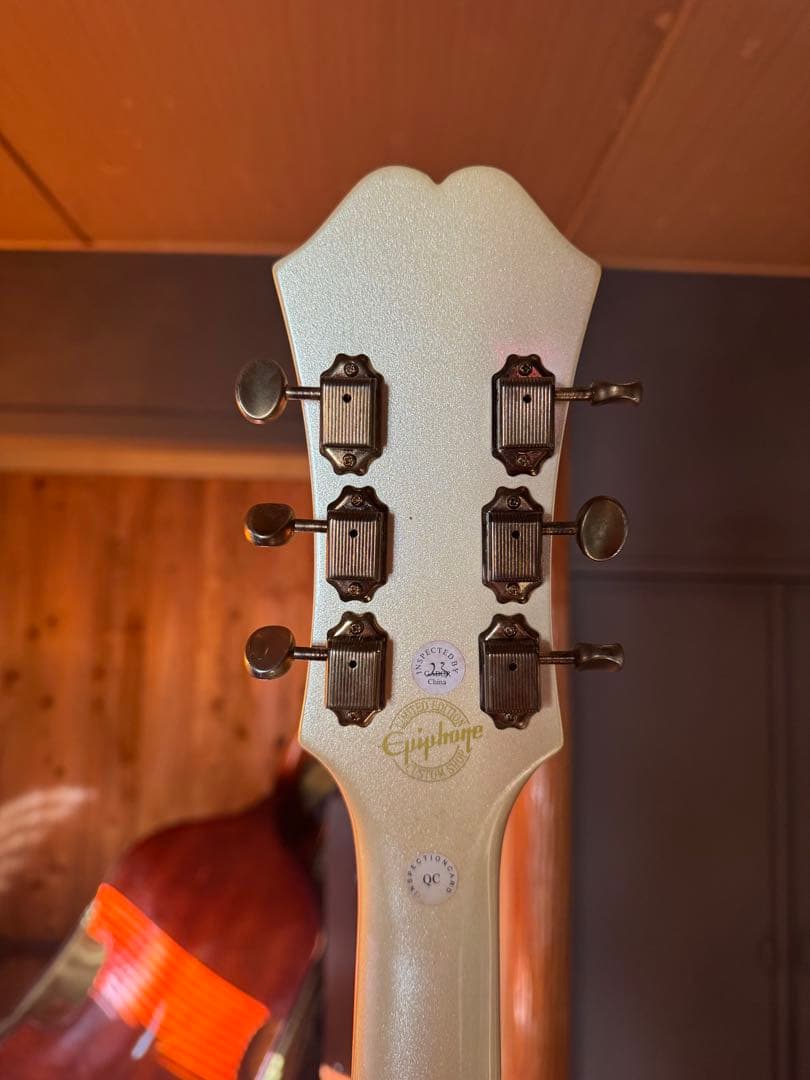 Epiphone Riviera Custom P93 G毎日 K