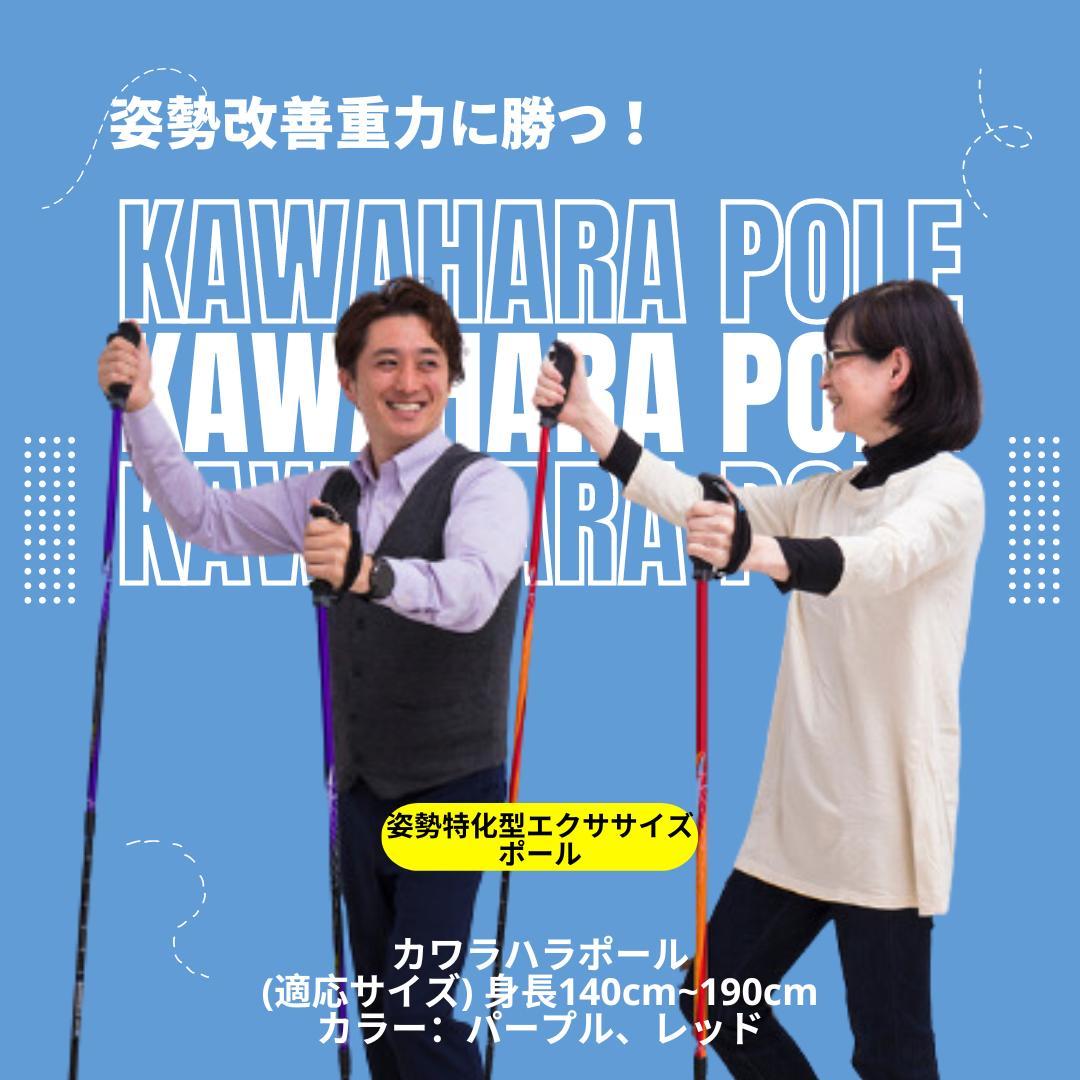 【新品】カワハラポール （赤）オンライン指導特典付き