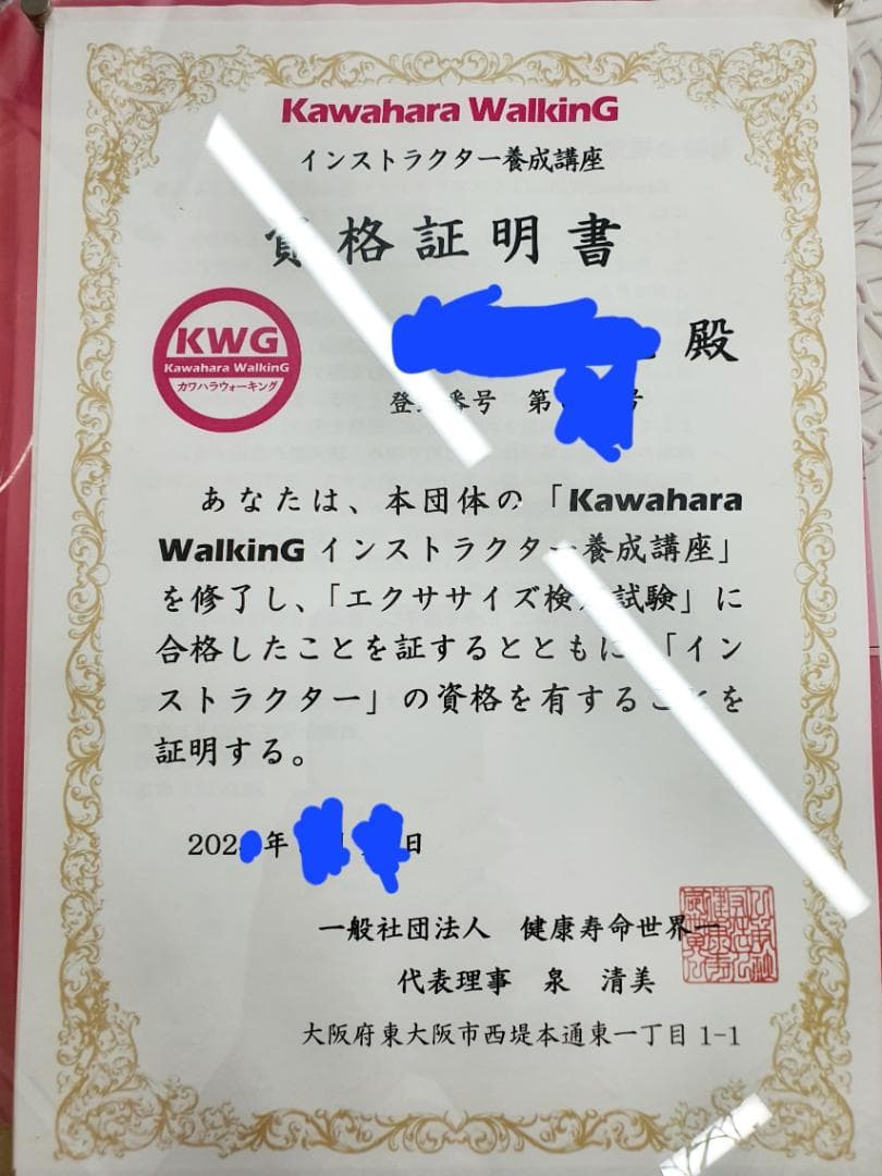 【新品】カワハラポール （赤）オンライン指導特典付き