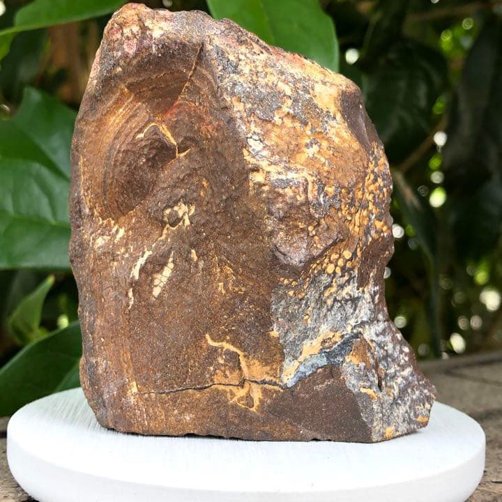 ビッグサイズ！ボルダーオパール原石オーストラリア産Y259