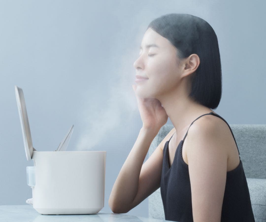 スチーマー ナノケア / 温冷・化粧水ミストタイプ EH-SA0B