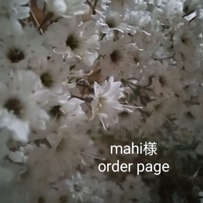 mahi様 ドライフラワー リース【order page】