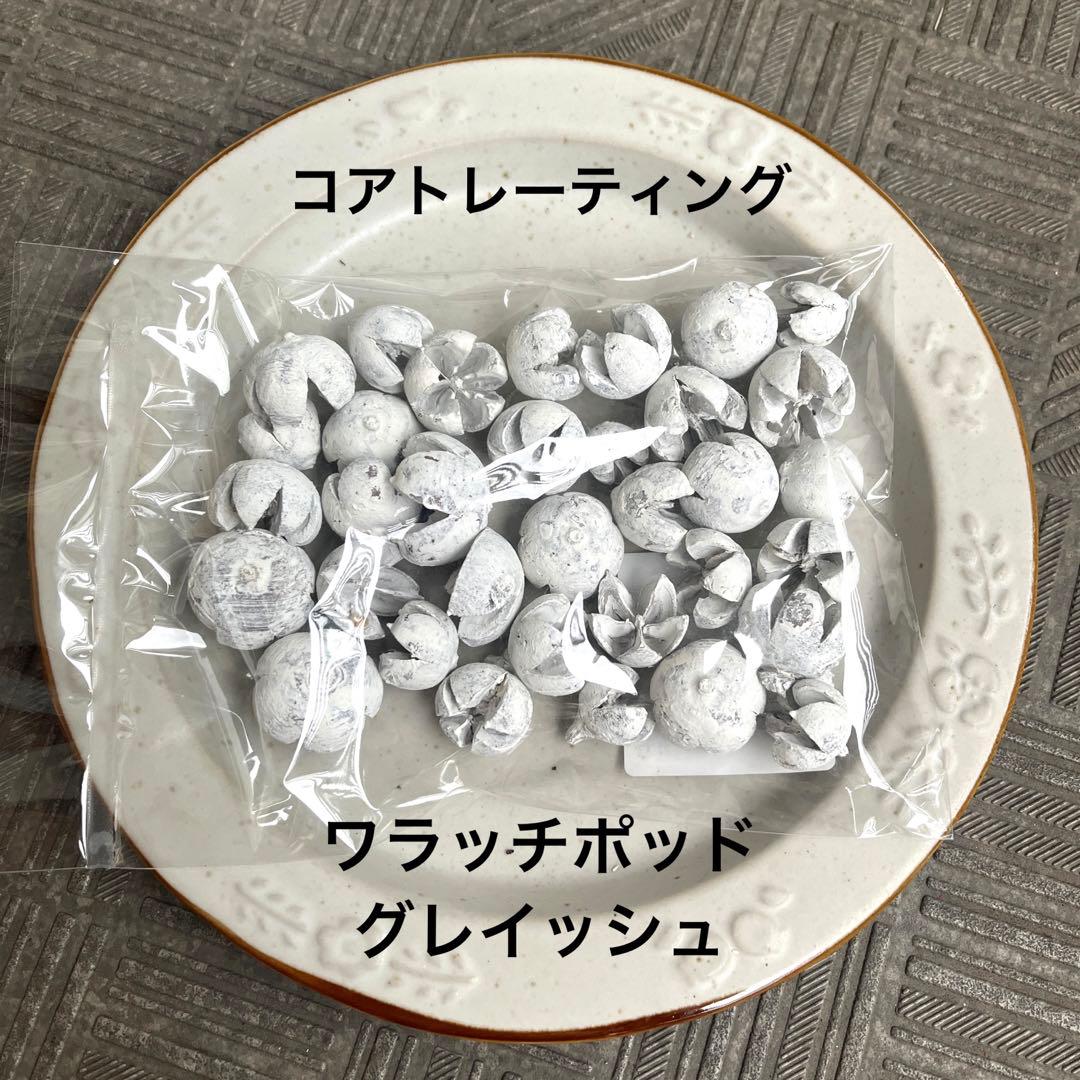 ワラッチポッド　グレイッシュ　1袋　コアトレーティング