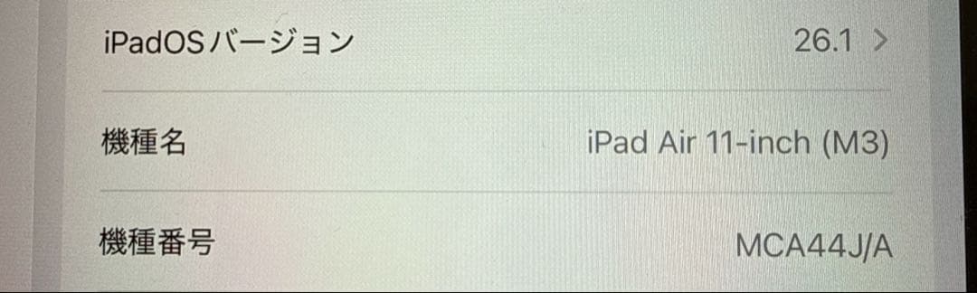 iPad Air M3 11インチ 256GB / ペンシルセット