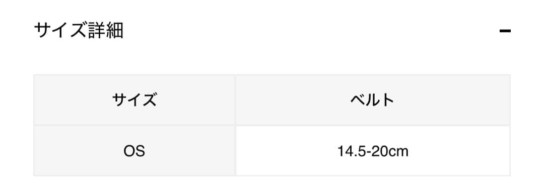 Laphont ARGONAUT WATCH / SIL BLK 新品未使用