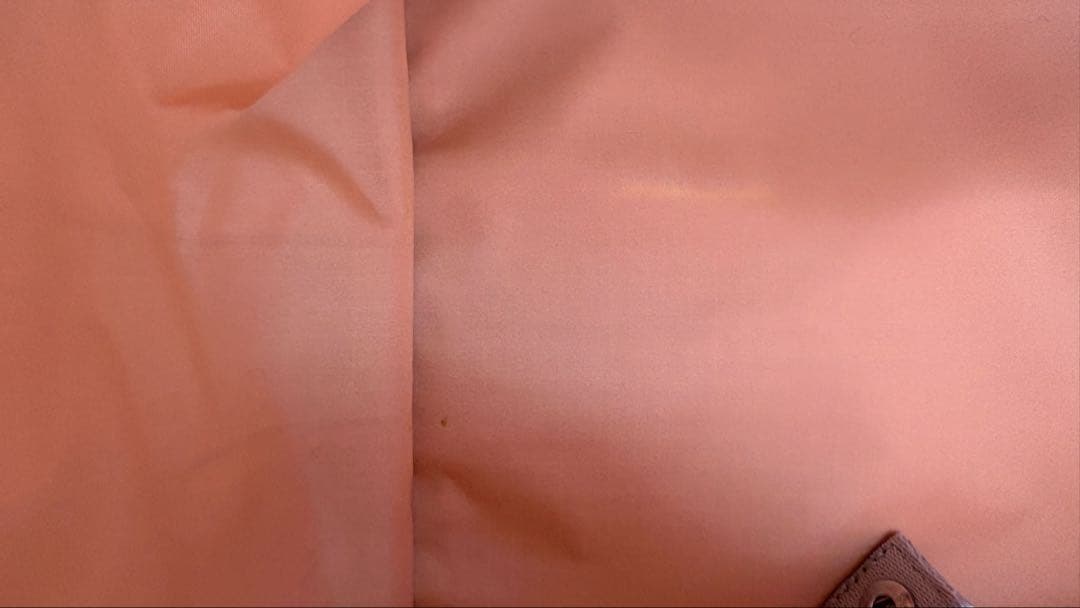 【ひとりっぷ×LeSportsac】ONE DAY CABIN （ギンガ）