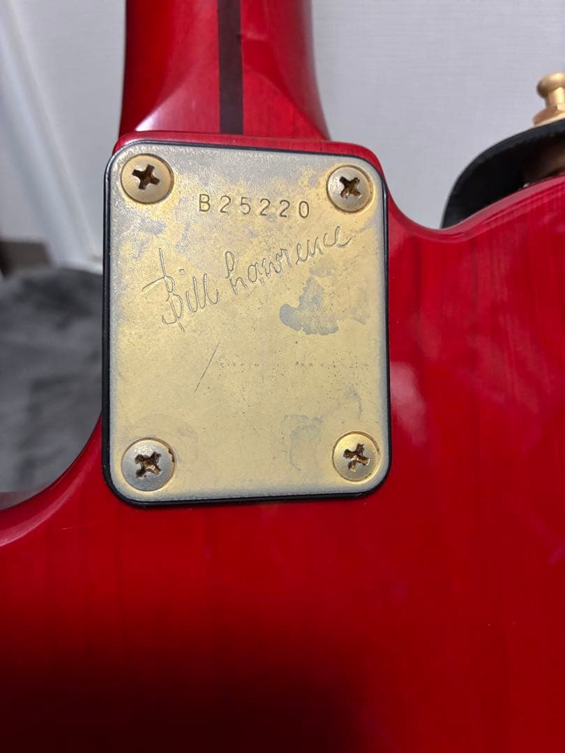 Bill Lawrence BKIM-60G 奥居香モデル アップグレード