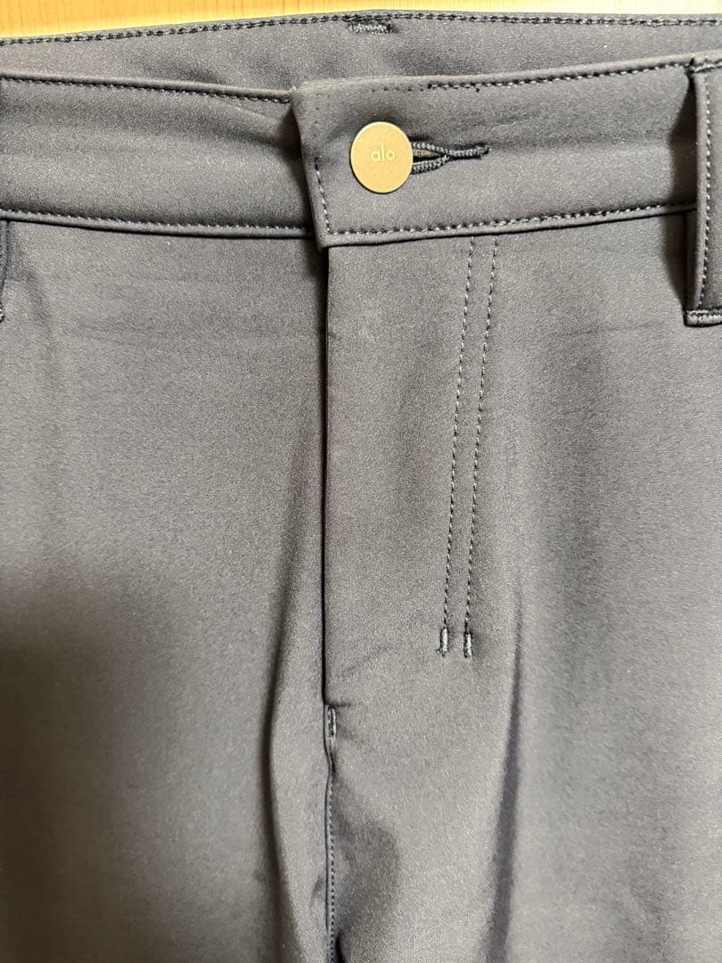 Alo Yoga メンズパンツ34