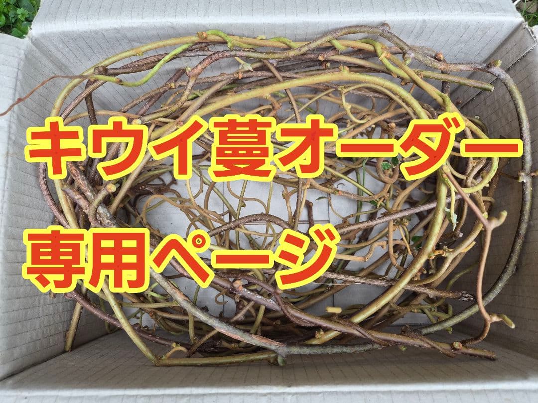 キウイ蔓オーダー専用