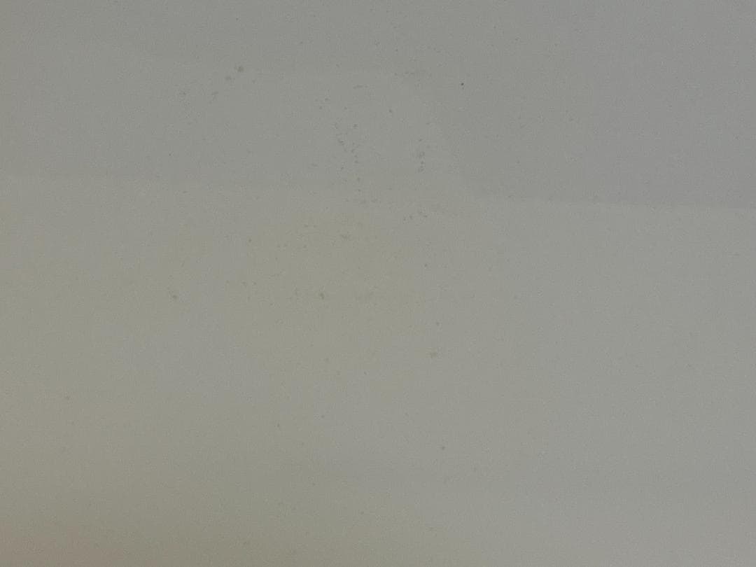 マイケルジョーダン wings ビッグ ポスター ウイング