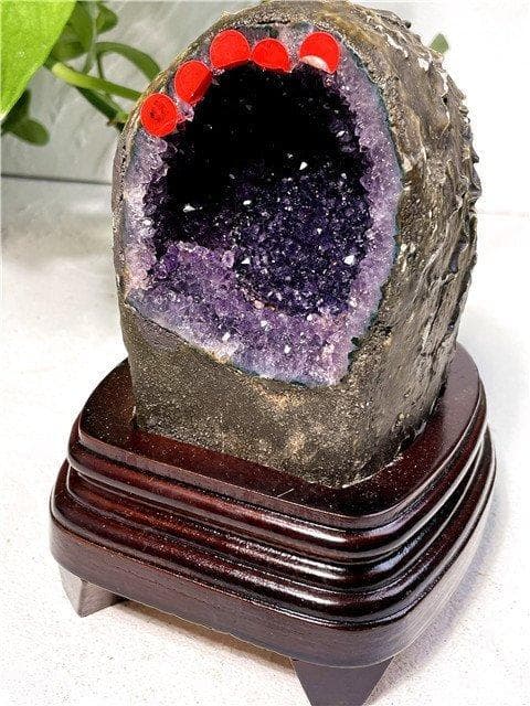 1560gAAA級ウルグアイ産天然アメジストドーム原石YT8G3/360G60A