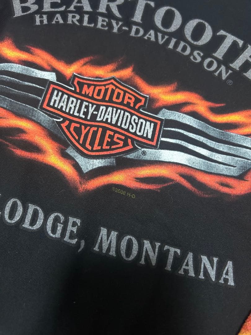 希少)00s Harley-Davidson フレイム　Tシャツ