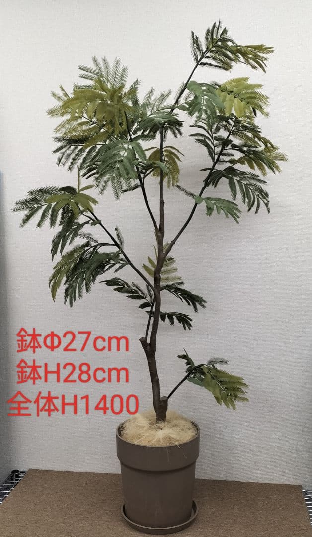 人工観葉植物 インテリア エバーフレッシュ 展示品(O-2601FB15)