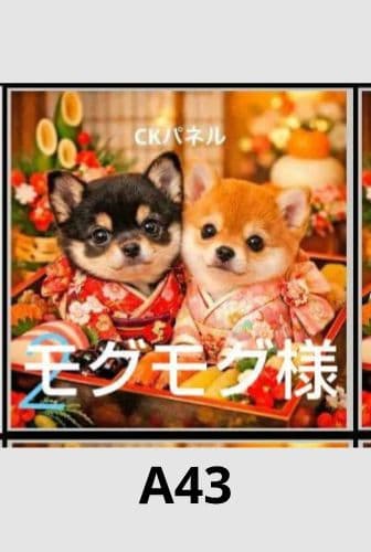 ご確認用　モグモグ様　ハンカチ　柴犬さん柄　ハンドメイド12/13
