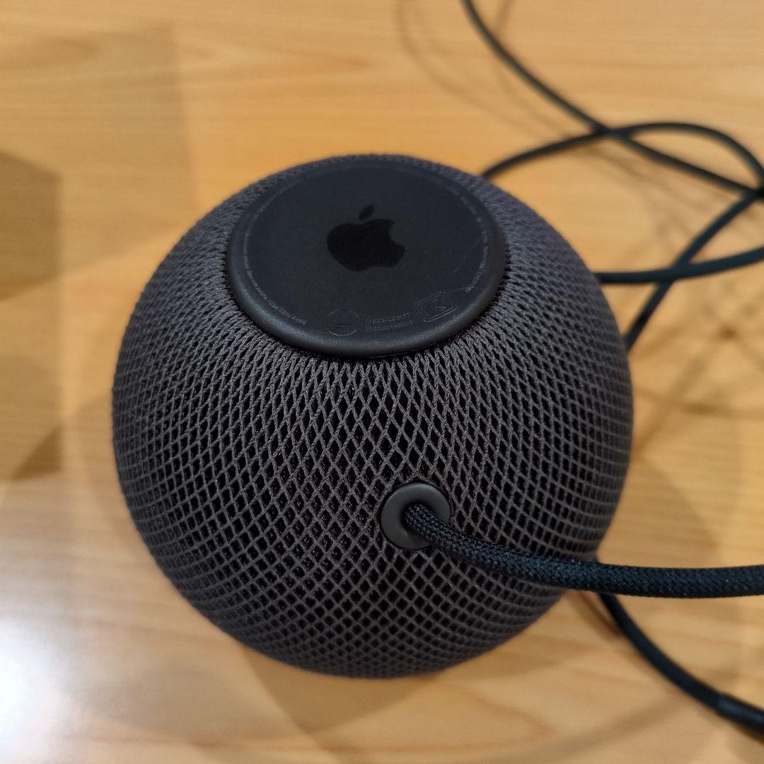 Pod mini MY5G2J/A [スペースグレイ]