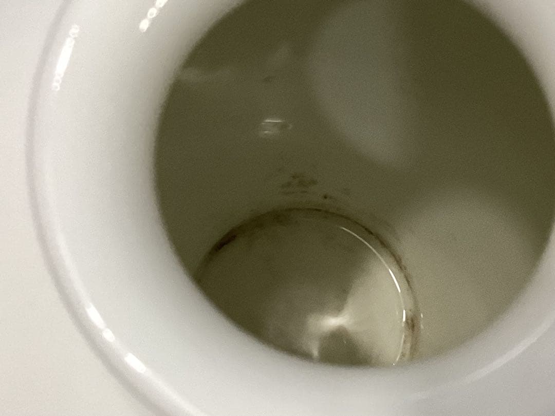 戦前製　オールドノリタケ　シカ印　白菊花柄花瓶　ボーンチャイナ　日本陶器会社