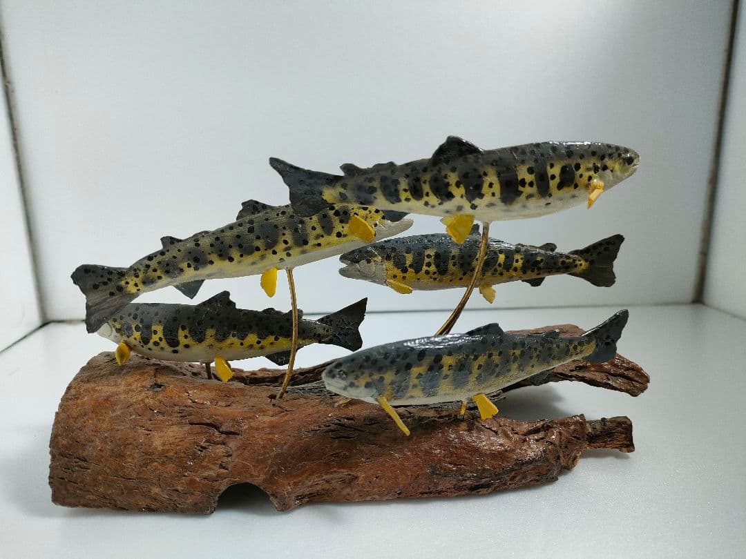 ヤマメ　ジオラマ