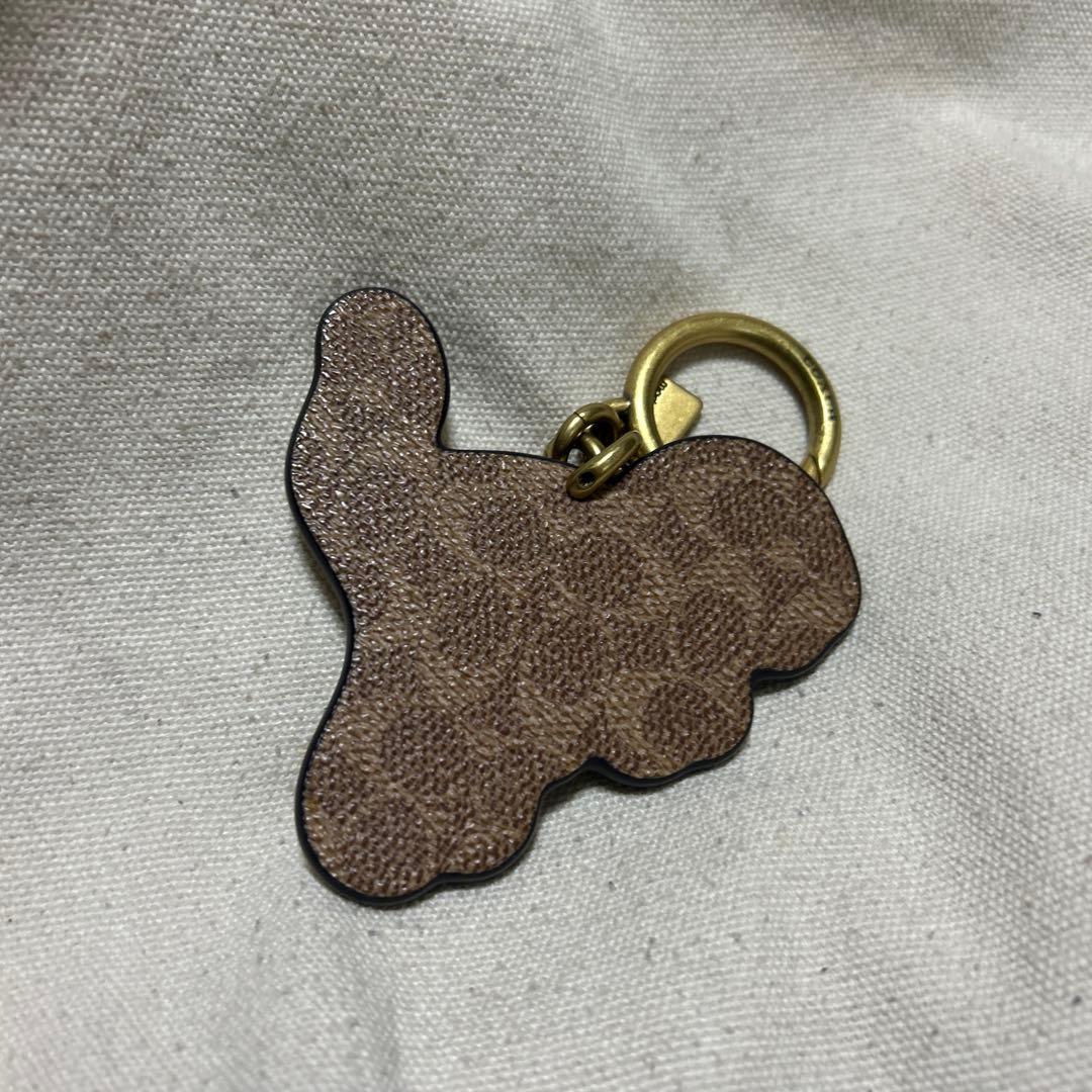 coachレキシーチャーム