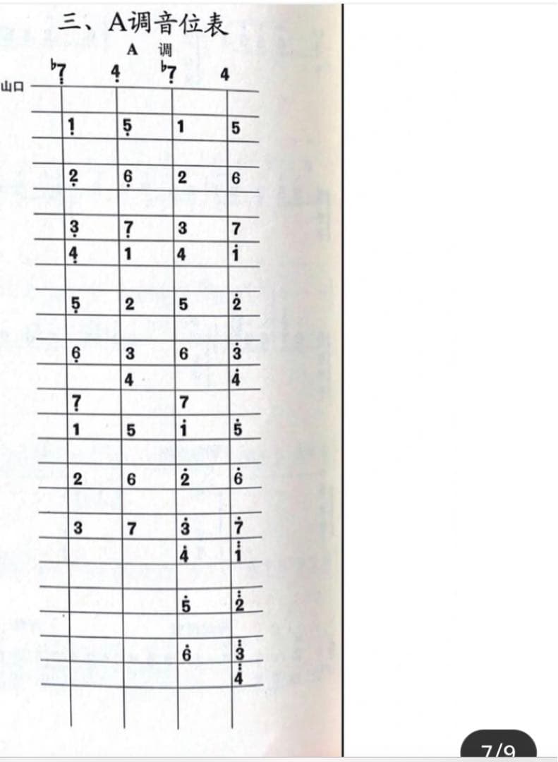 中国の民族楽器中阮 中元