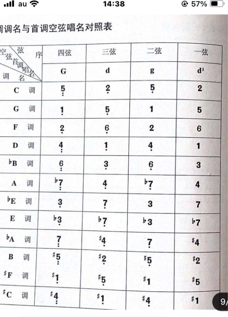 中国の民族楽器中阮 中元