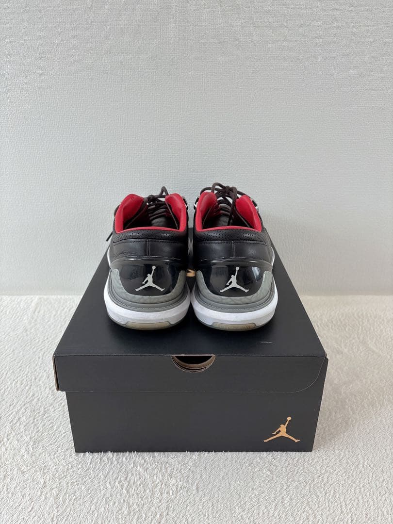 【送料無料 美品♡】NIKE ゴルフシューズ ジョーダンADG4 30センチ