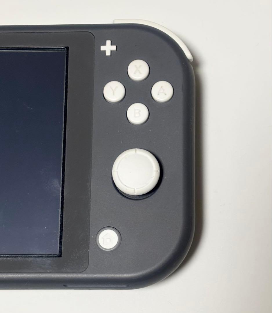 Nintendo Switch lite 本体 グレー【充電コード、ケース付】