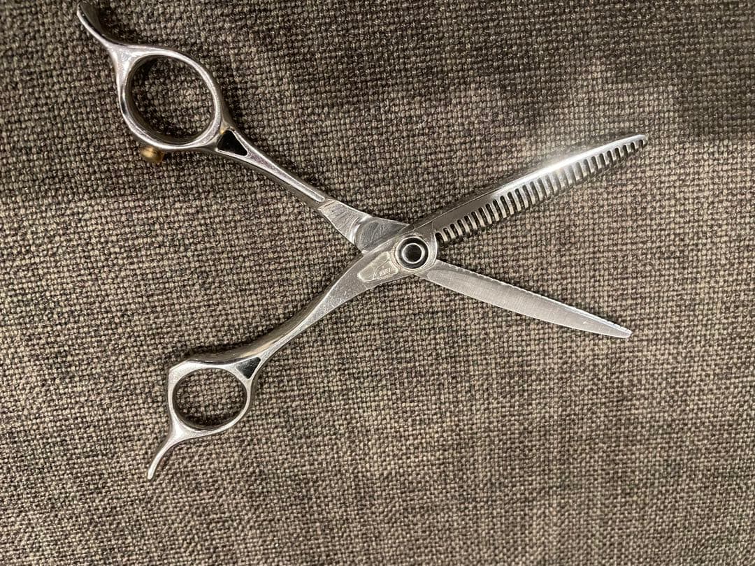 トギノン　サクセススター