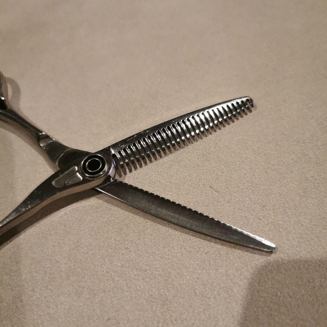 トギノン　サクセススター