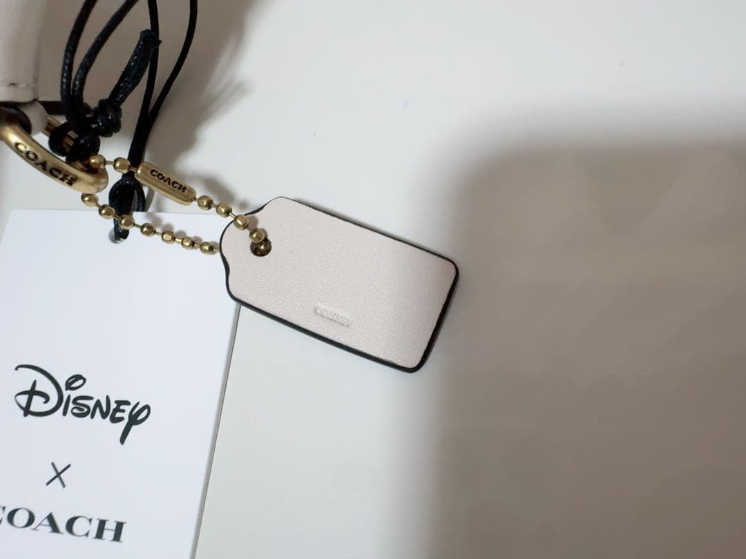 【新品・正規品】ディズニーコラボ商品 コーチ ポーチ