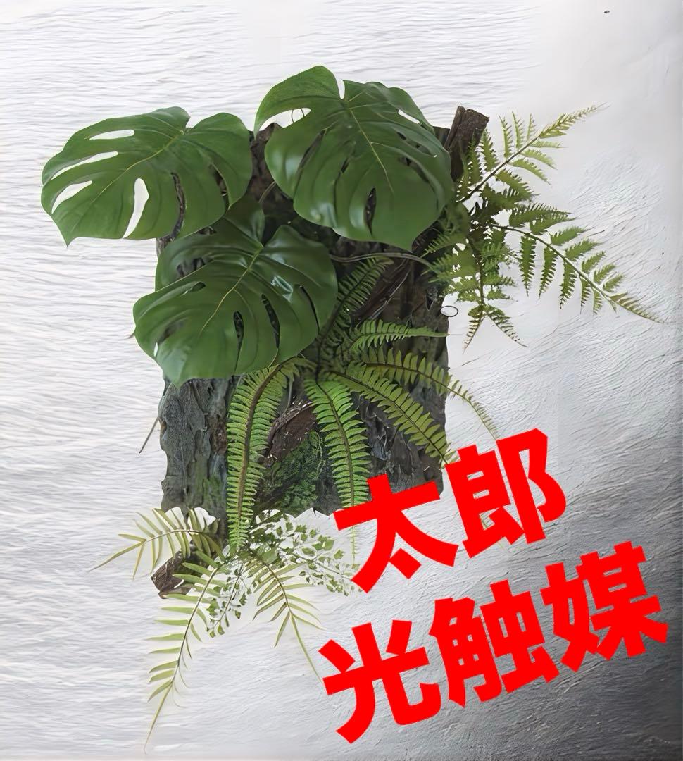 光触媒　人工観葉植物　ウォールグリーン　フェイクグリーン　モンステラデコ