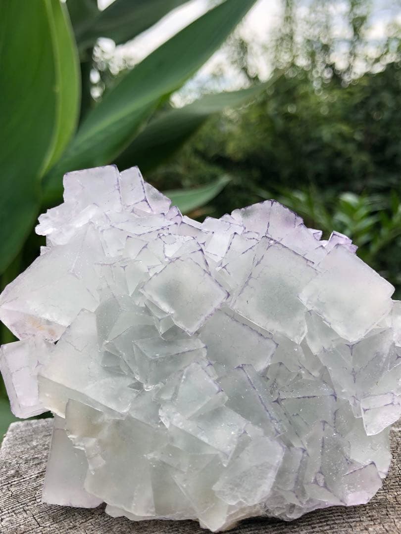 ❤️超レア　214g 綺麗　紫縁　グリーンフローライト　蛍石　クラスター