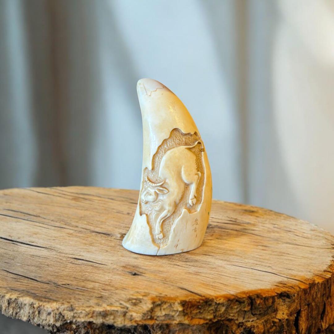 マッコウクジラ 鯨歯工芸品 抹香鯨 歯牙 鯨歯 歯鯨 在銘 牛 彫 169g