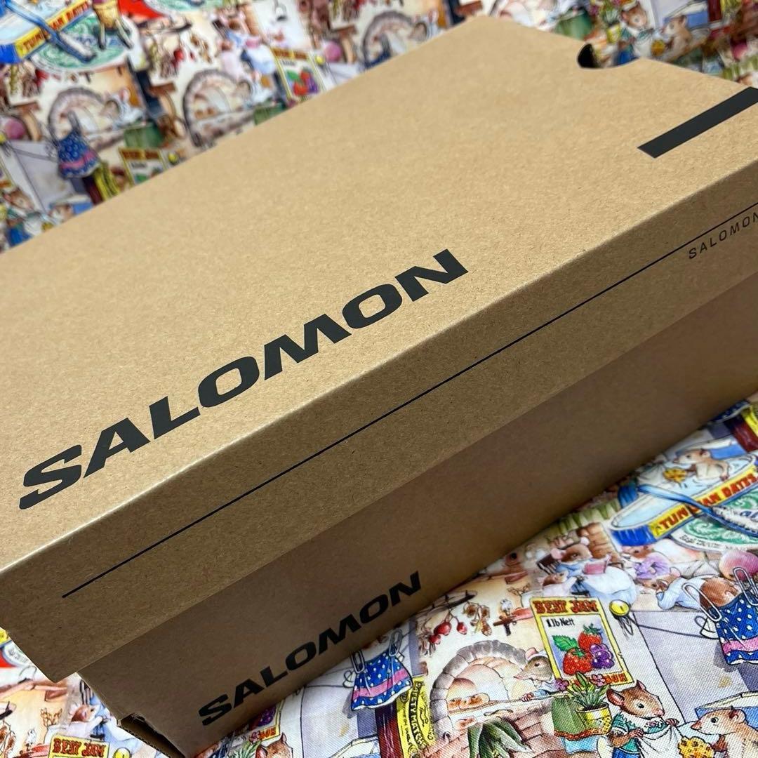 靴 bonkure- SALOMON XA PRO 3D GTX 24.5