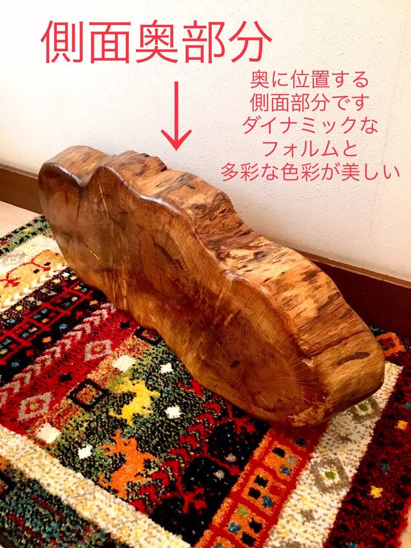 天然楢【神秘的な合体樹＊3本の木が一体化/森と大自然の切り株テーブル】ちゃぶ台