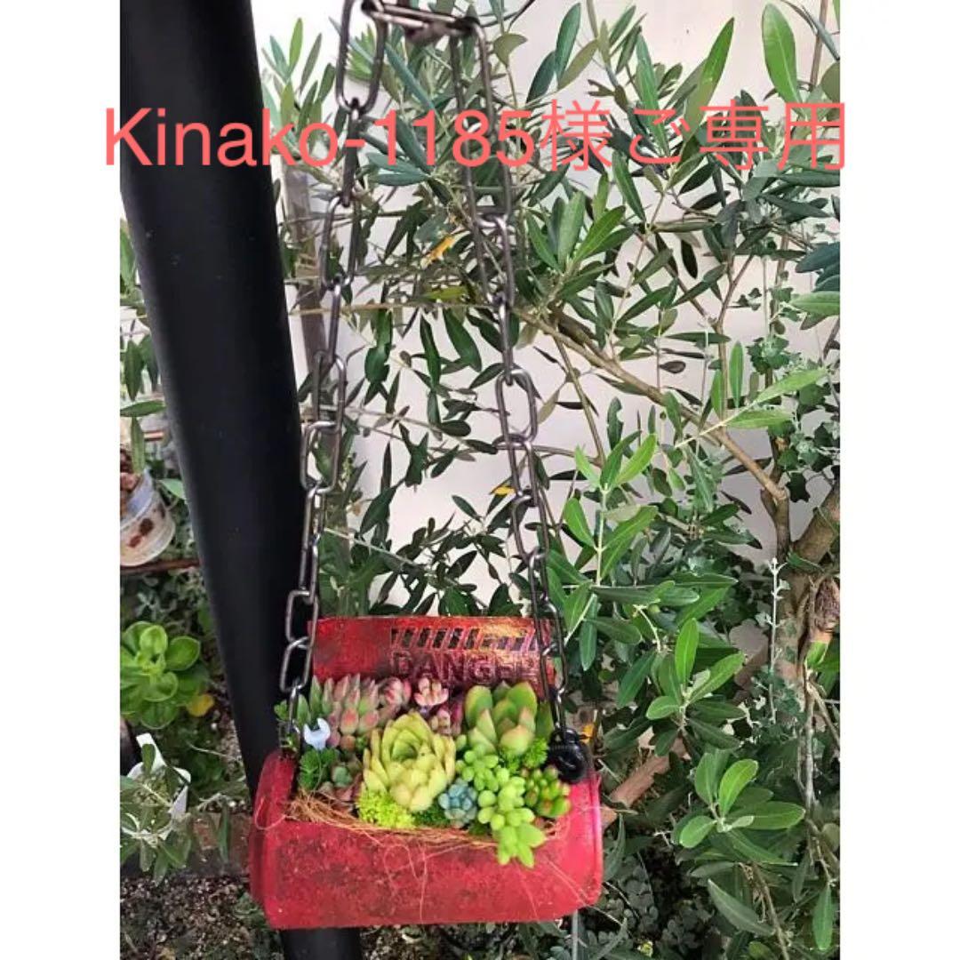 ★多肉植物　寄せ植え〜リメ缶チェーン寄せ〜★