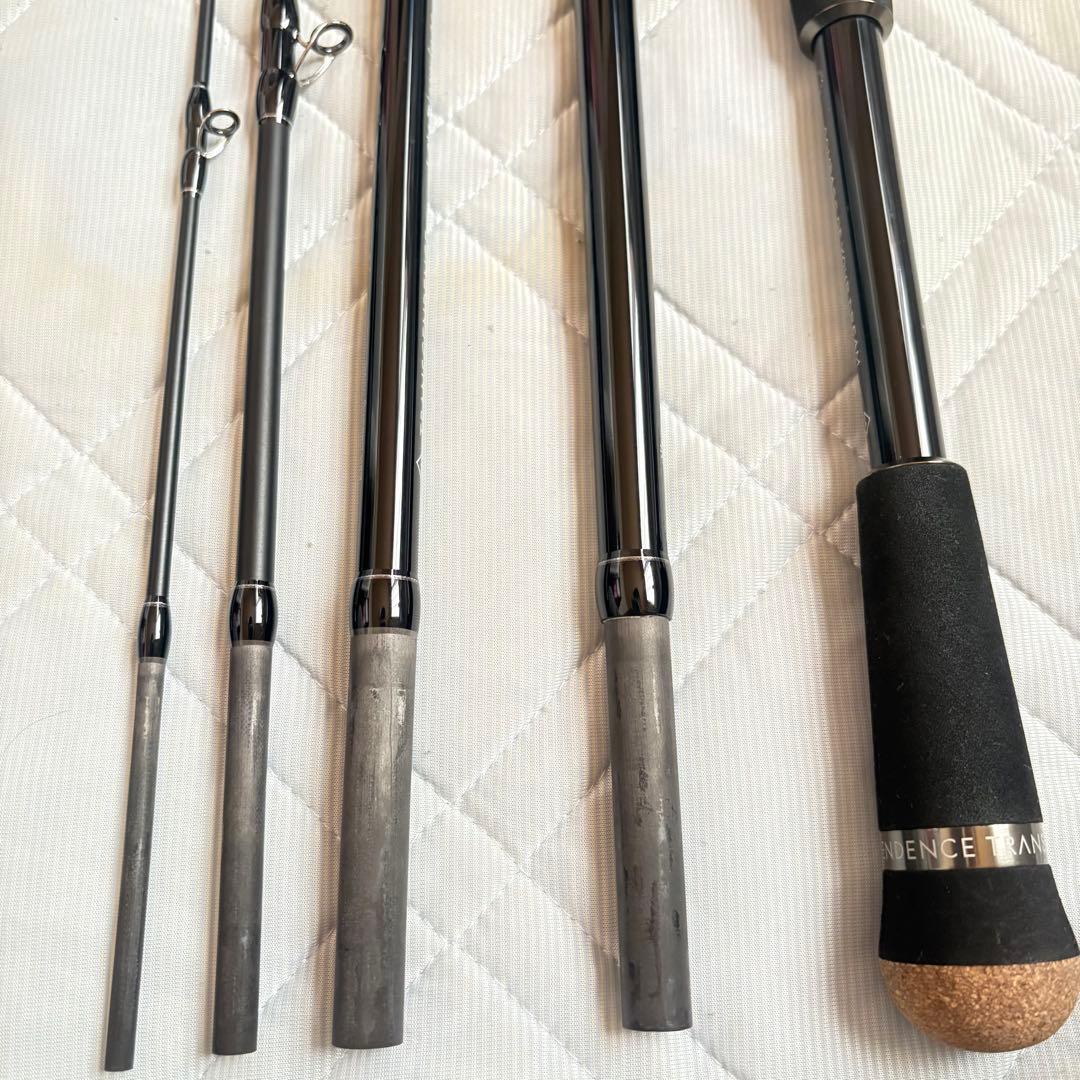 トランスセンデンス　レイトブルーミングス　 (旧型)