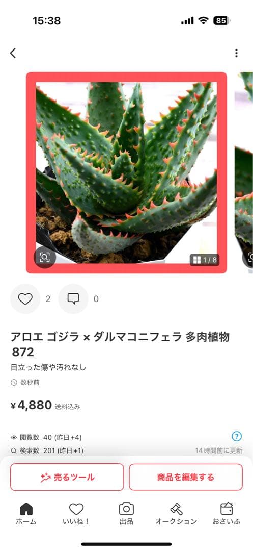 マルベリーナ様 2点同封 おまとめ