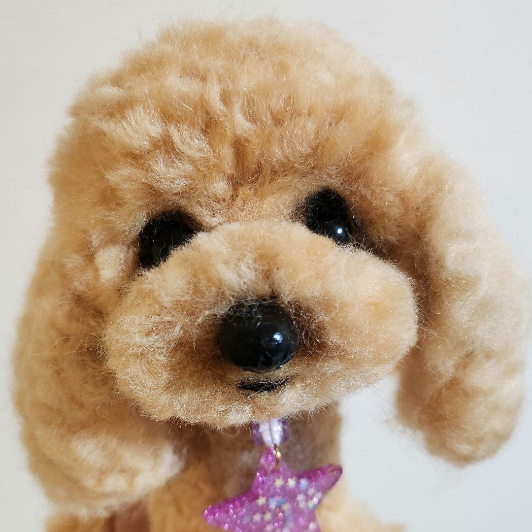 トイプードル❤️羊毛フェルト❤️　　　　　　　　　　　　　　　お迎え決まりました