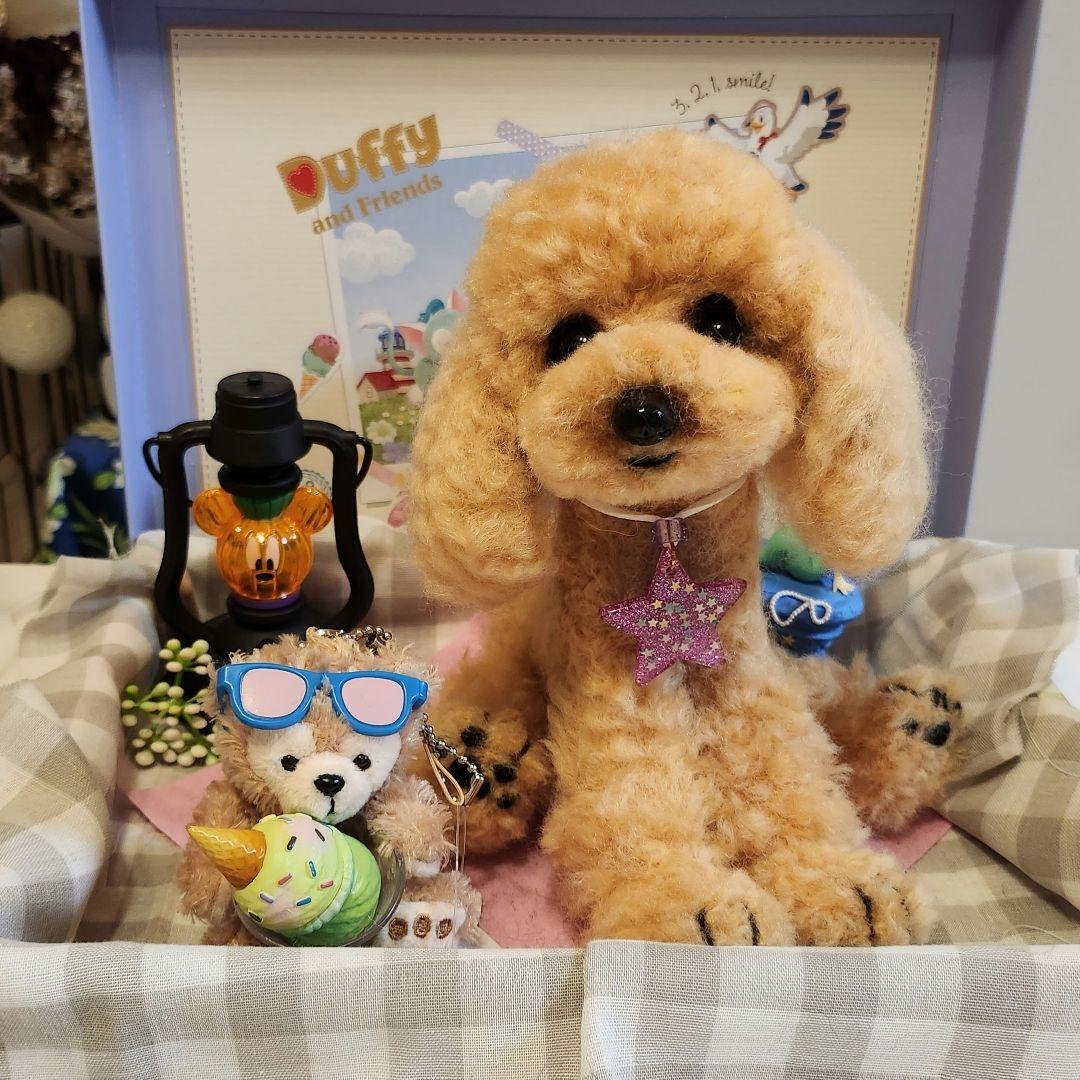 トイプードル❤️羊毛フェルト❤️　　　　　　　　　　　　　　　お迎え決まりました