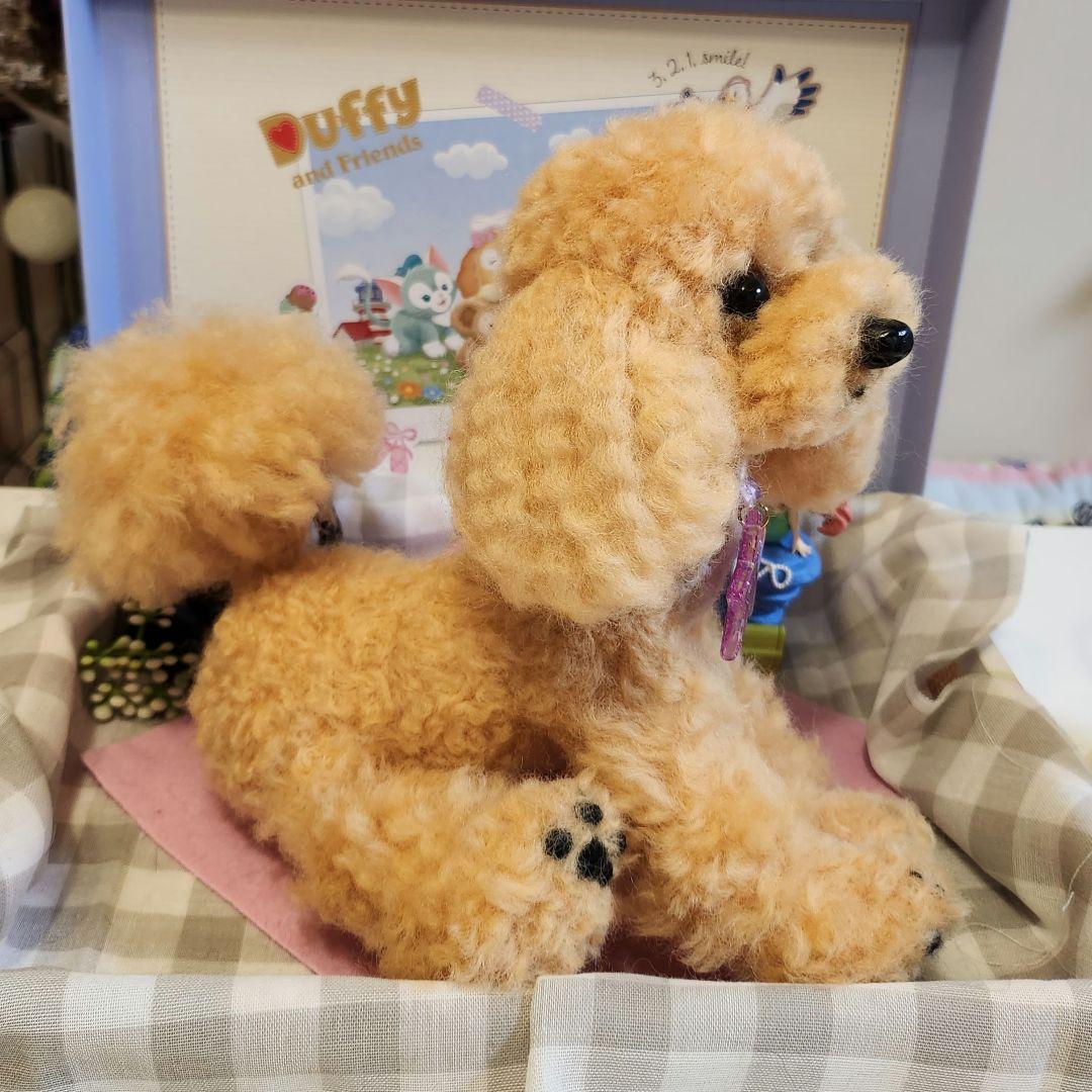 トイプードル❤️羊毛フェルト❤️　　　　　　　　　　　　　　　お迎え決まりました