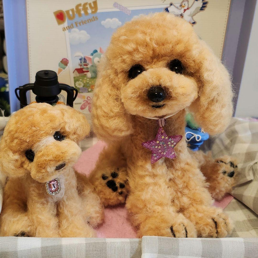 トイプードル❤️羊毛フェルト❤️　　　　　　　　　　　　　　　お迎え決まりました