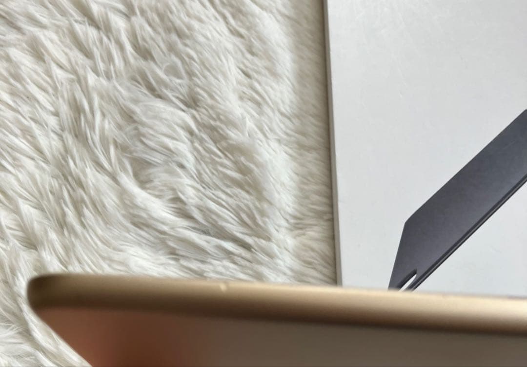 【早い者勝ち】iPad Air2 128GB 【すぐ発送】【付属品】